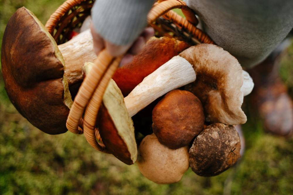 Růžová Chalupa Pod Klínovcem Loučná pod Klínovcem Exterior foto